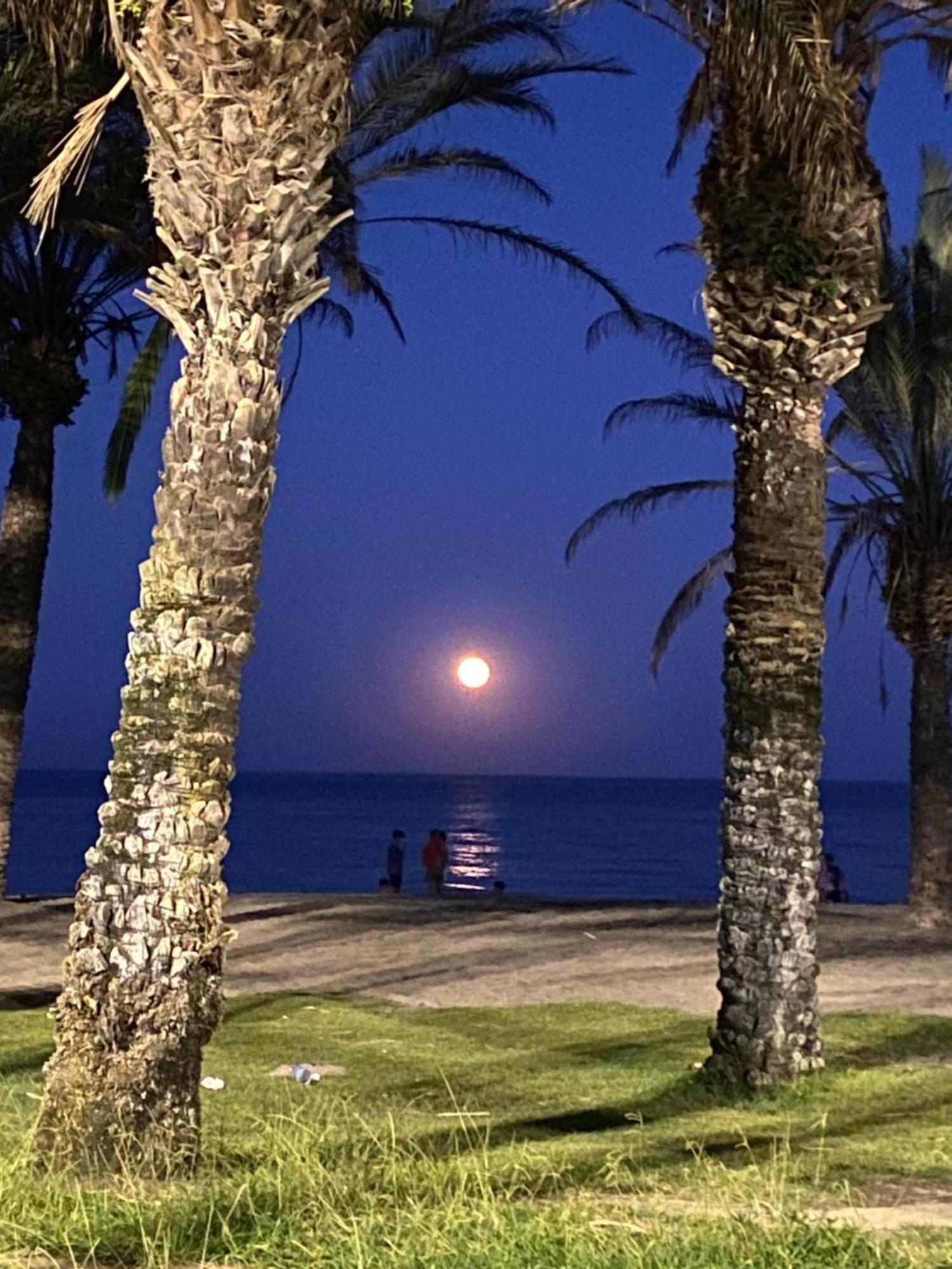 Apartamento Jema El Bajondillo Torremolinos Eksteriør billede